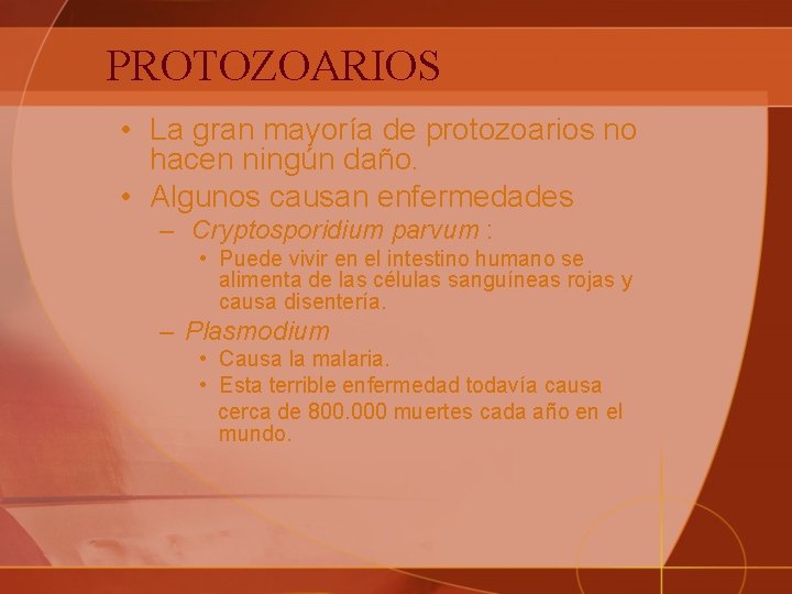 PROTOZOARIOS • La gran mayoría de protozoarios no hacen ningún daño. • Algunos causan