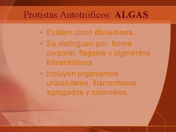 Protistas Autotróficos: ALGAS • Existen cinco divisiones. • Se distinguen por: forma corporal, flagelos