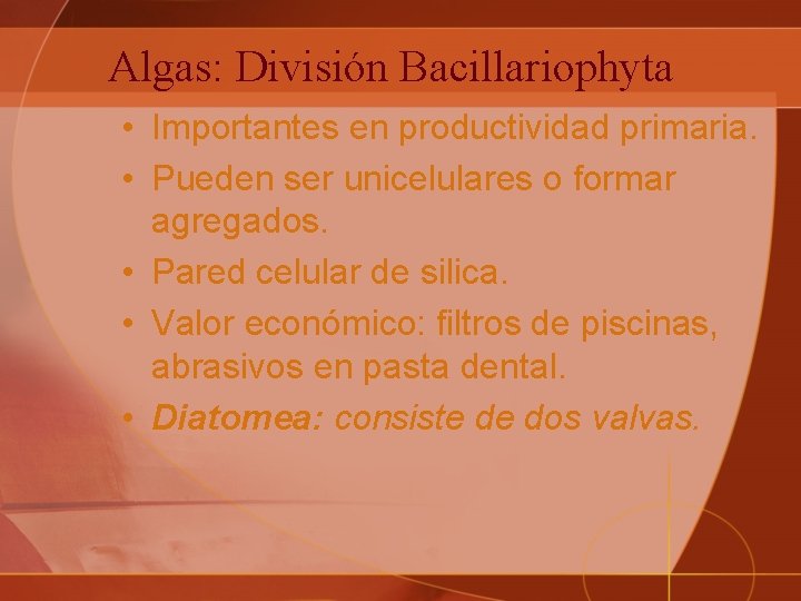 Algas: División Bacillariophyta • Importantes en productividad primaria. • Pueden ser unicelulares o formar
