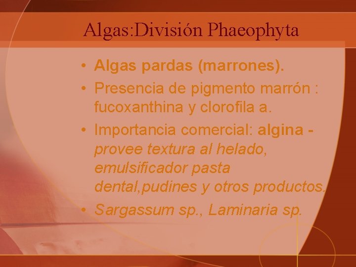 Algas: División Phaeophyta • Algas pardas (marrones). • Presencia de pigmento marrón : fucoxanthina