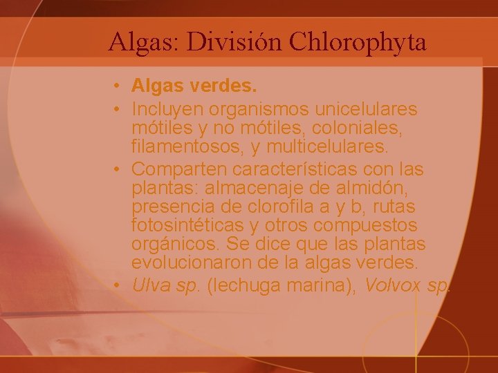 Algas: División Chlorophyta • Algas verdes. • Incluyen organismos unicelulares mótiles y no mótiles,