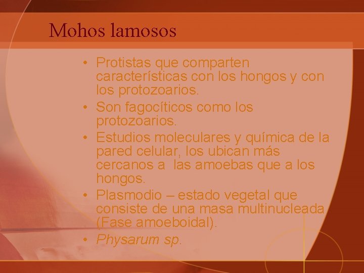 Mohos lamosos • Protistas que comparten características con los hongos y con los protozoarios.