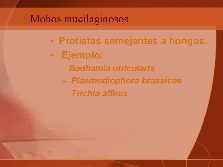 Mohos mucilaginosos • Protistas semejantes a hongos. • Ejemplo: – Badhamia utricularis – Plasmodiophora