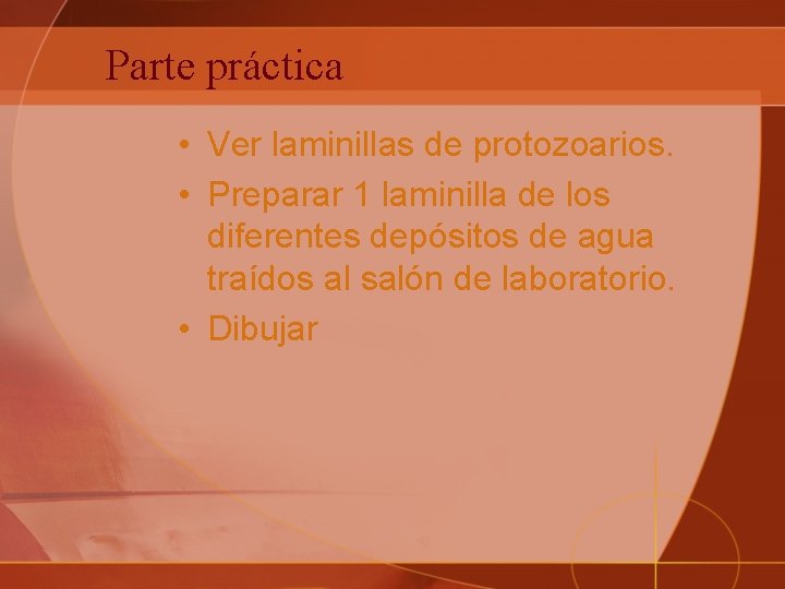 Parte práctica • Ver laminillas de protozoarios. • Preparar 1 laminilla de los diferentes