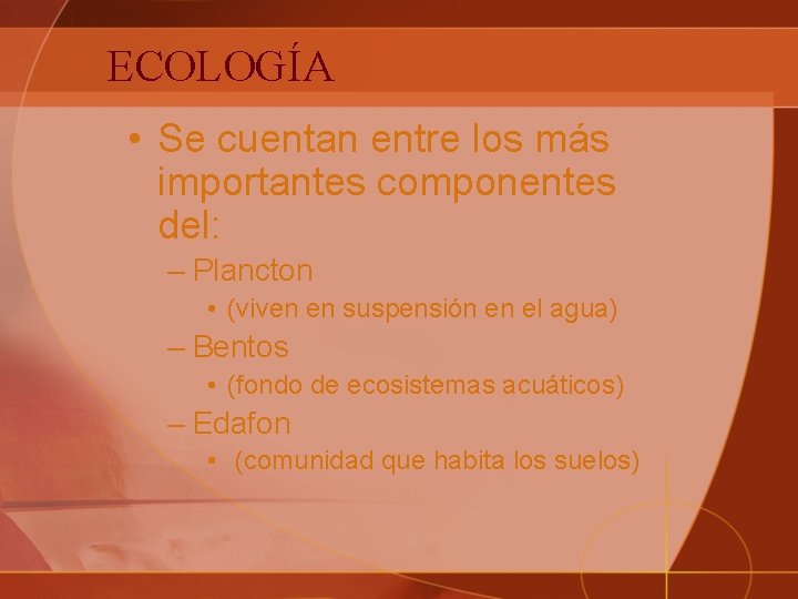 ECOLOGÍA • Se cuentan entre los más importantes componentes del: – Plancton • (viven