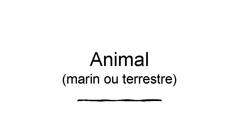 Animal (marin ou terrestre) 