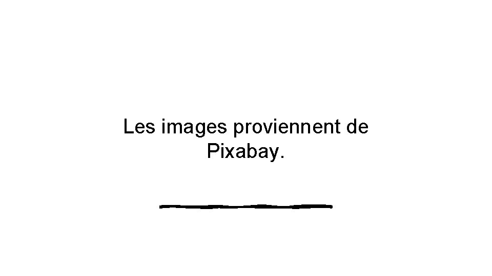 Les images proviennent de Pixabay. 