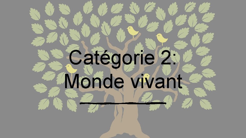 Catégorie 2: Monde vivant 