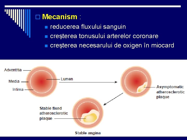 o Mecanism : n n n reducerea fluxului sanguin creşterea tonusului arterelor coronare creşterea