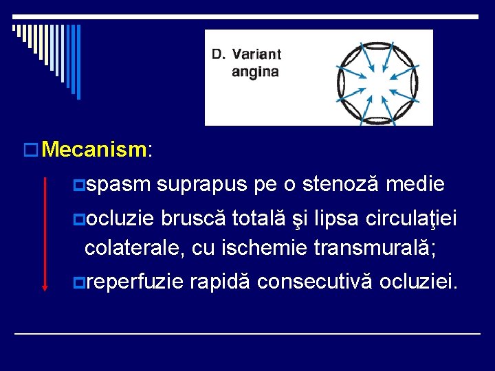 o Mecanism: pspasm suprapus pe o stenoză medie pocluzie bruscă totală şi lipsa circulaţiei
