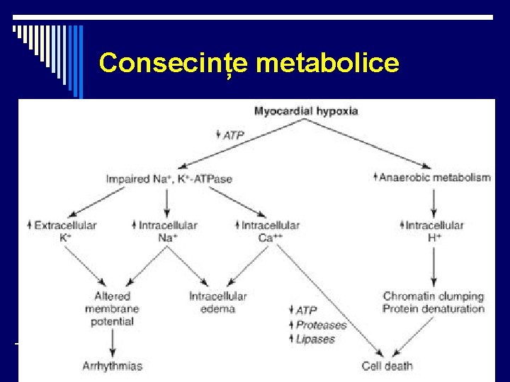 Consecințe metabolice 