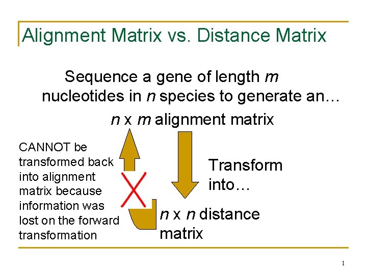 Alignment Matrix vs. Distance Matrix Sequence a gene of length m nucleotides in n