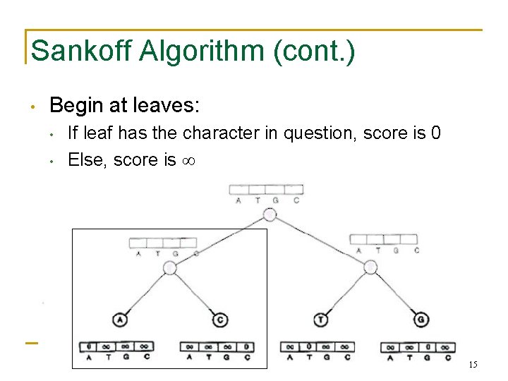 Sankoff Algorithm (cont. ) • Begin at leaves: • • If leaf has the