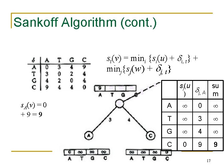 Sankoff Algorithm (cont. ) st(v) = mini {si(u) + i, t} + minj{sj(w) +