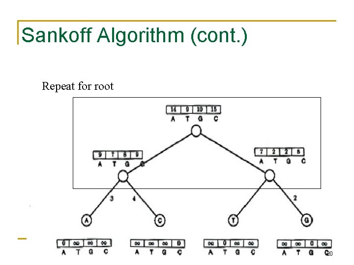 Sankoff Algorithm (cont. ) Repeat for root 20 