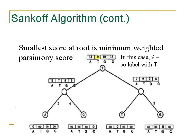 Sankoff Algorithm (cont. ) Smallest score at root is minimum weighted In this case,