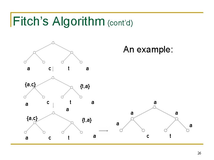 Fitch’s Algorithm (cont’d) An example: a c t a {a, c} a {t, a}