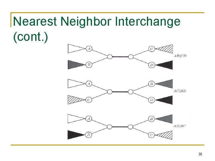 Nearest Neighbor Interchange (cont. ) 38 