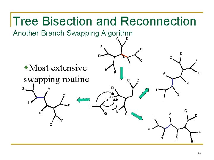 Tree Bisection and Reconnection Another Branch Swapping Algorithm w. Most extensive swapping routine 42