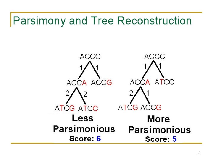 Parsimony and Tree Reconstruction 5 