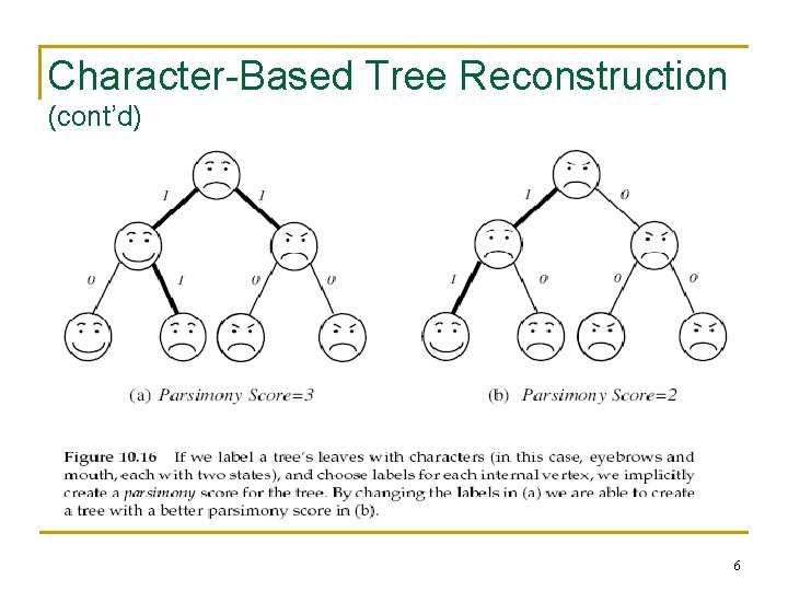 Character-Based Tree Reconstruction (cont’d) 6 