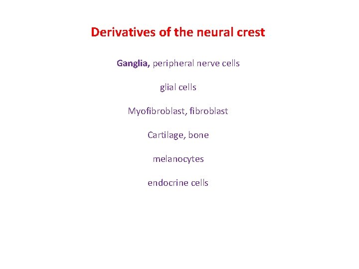 Derivatives of the neural crest Ganglia, peripheral nerve cells glial cells Myofibroblast, fibroblast Cartilage,