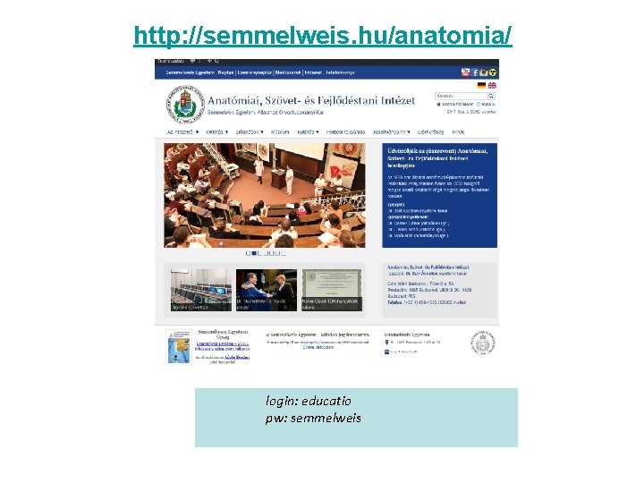 http: //semmelweis. hu/anatomia/ login: educatio pw: semmelweis 