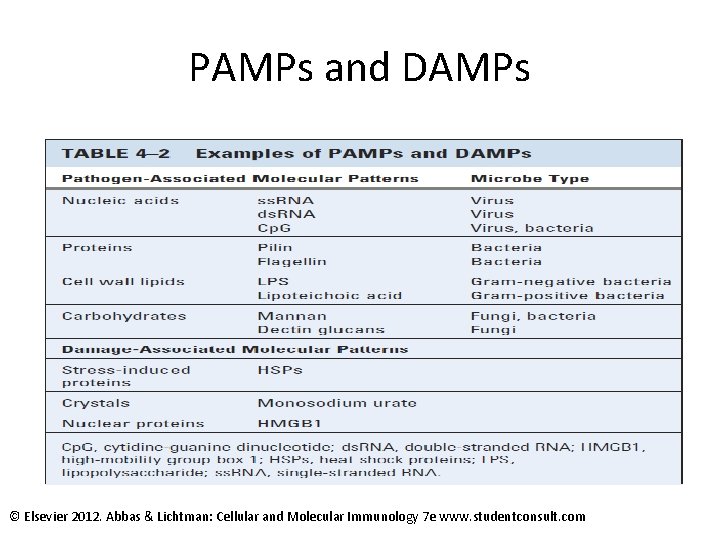 PAMPs and DAMPs © Elsevier 2012. Abbas & Lichtman: Cellular and Molecular Immunology 7