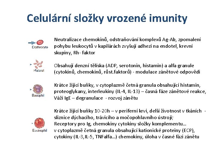 Celulární složky vrozené imunity Neutralizace chemokinů, odstraňování komplexů Ag-Ab, zpomalení pohybu leukocytů v kapilárách