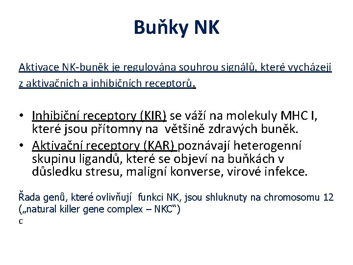 Buňky NK Aktivace NK-buněk je regulována souhrou signálů, které vycházejí z aktivačních a inhibičních