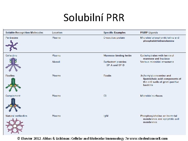 Solubilní PRR © Elsevier 2012. Abbas & Lichtman: Cellular and Molecular Immunology 7 e