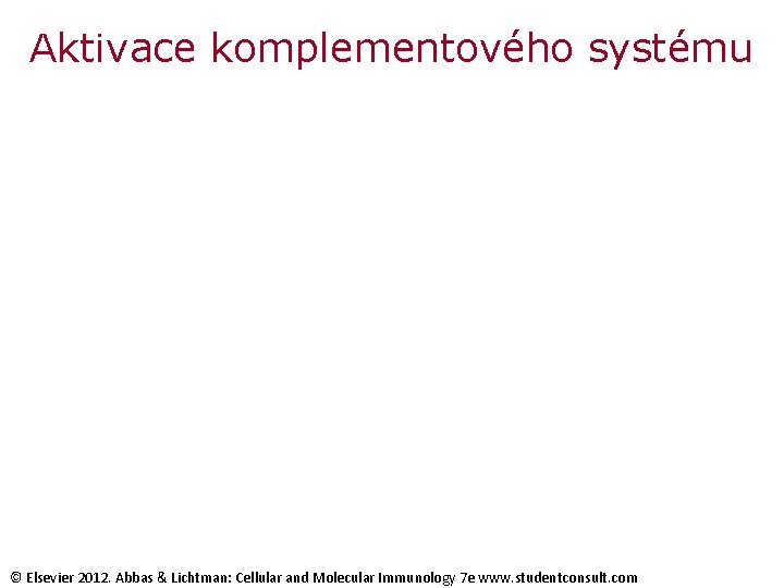 Aktivace komplementového systému © Elsevier 2012. Abbas & Lichtman: Cellular and Molecular Immunology 7