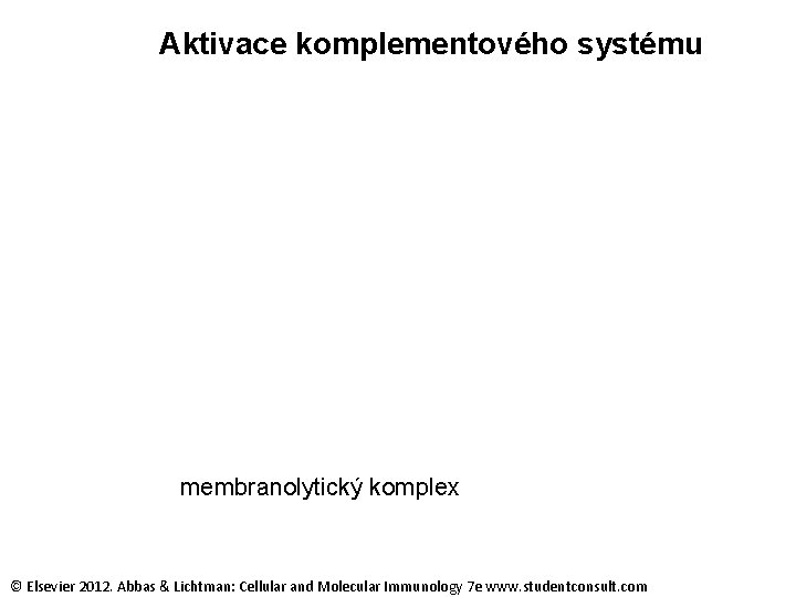 Aktivace komplementového systému membranolytický komplex © Elsevier 2012. Abbas & Lichtman: Cellular and Molecular