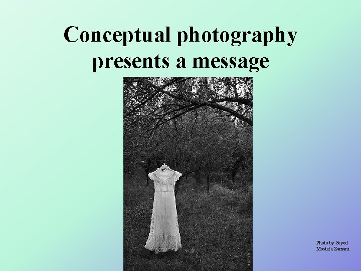 Conceptual photography presents a message Photo by Seyed Mostafa Zamani 