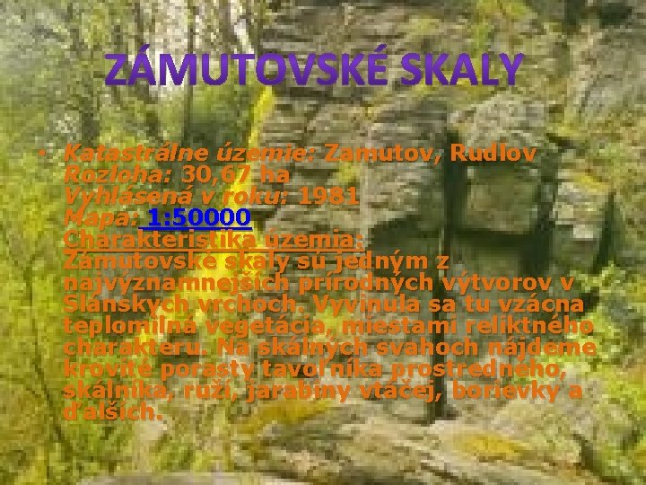  • Katastrálne územie: Zamutov, Rudlov Rozloha: 30, 67 ha Vyhlásená v roku: 1981