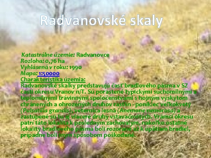 Radvanovské skaly Katastrálne územie: Radvanovce Rozloha: 0, 76 ha Vyhlásená v roku: 1990 Mapa: