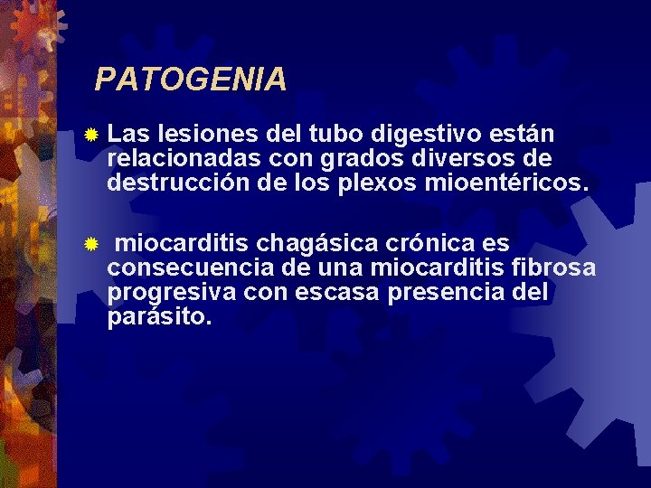 PATOGENIA ® Las lesiones del tubo digestivo están relacionadas con grados diversos de destrucción