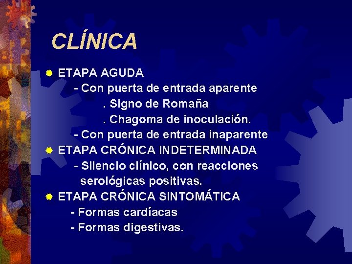 CLÍNICA ETAPA AGUDA - Con puerta de entrada aparente. Signo de Romaña. Chagoma de