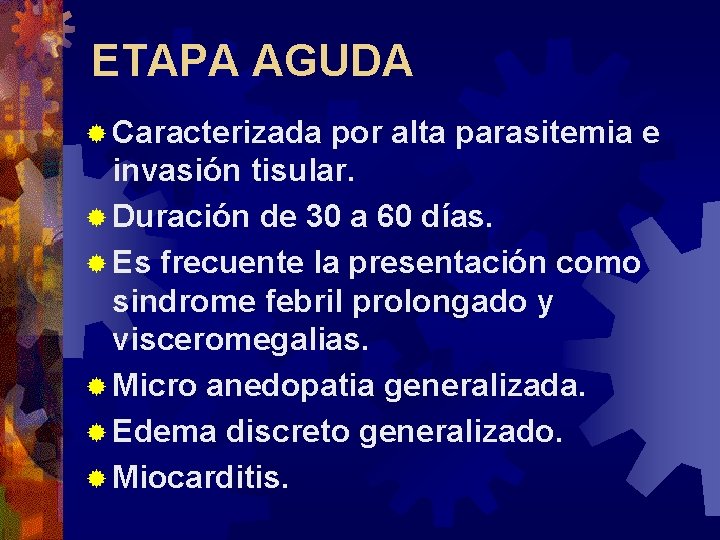 ETAPA AGUDA ® Caracterizada por alta parasitemia e invasión tisular. ® Duración de 30