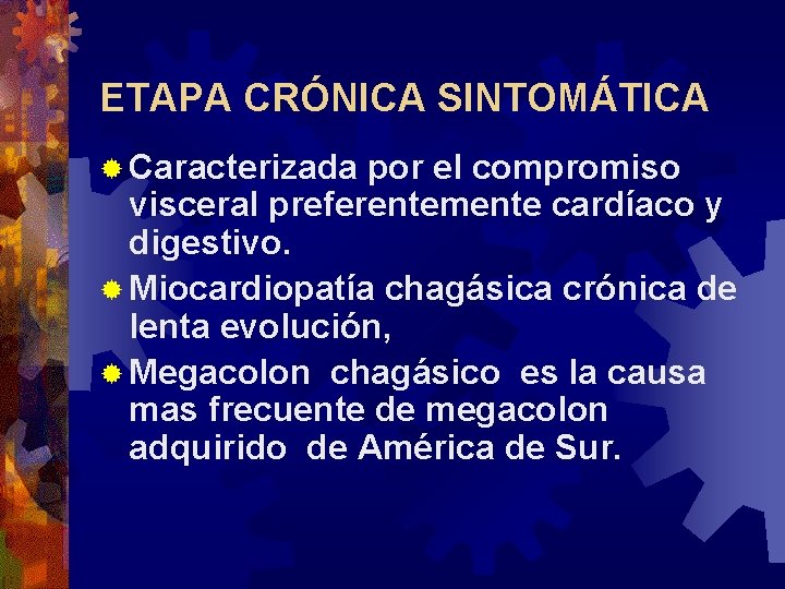 ETAPA CRÓNICA SINTOMÁTICA ® Caracterizada por el compromiso visceral preferentemente cardíaco y digestivo. ®