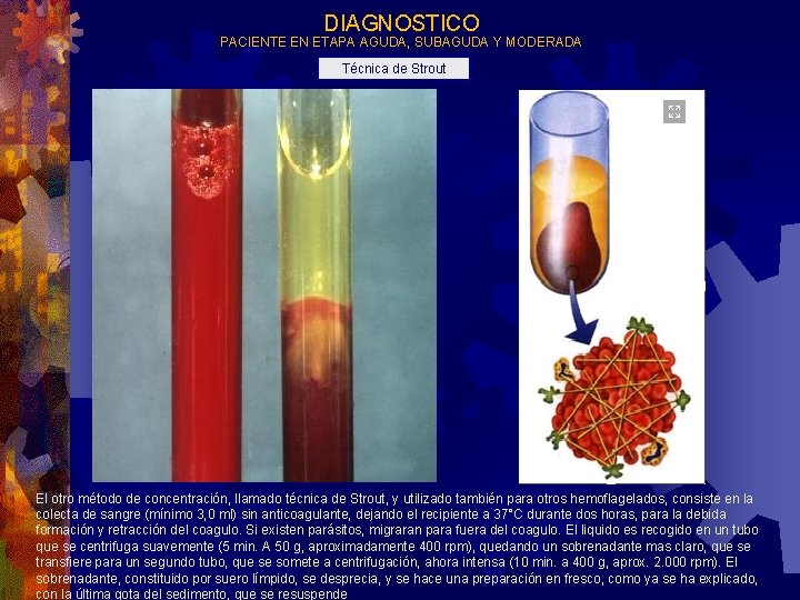 DIAGNOSTICO PACIENTE EN ETAPA AGUDA, SUBAGUDA Y MODERADA Técnica de Strout El otro método