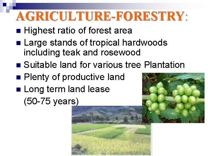 AGRICULTURE-FORESTRY: Highest ratio of forest area n Large stands of tropical hardwoods including teak