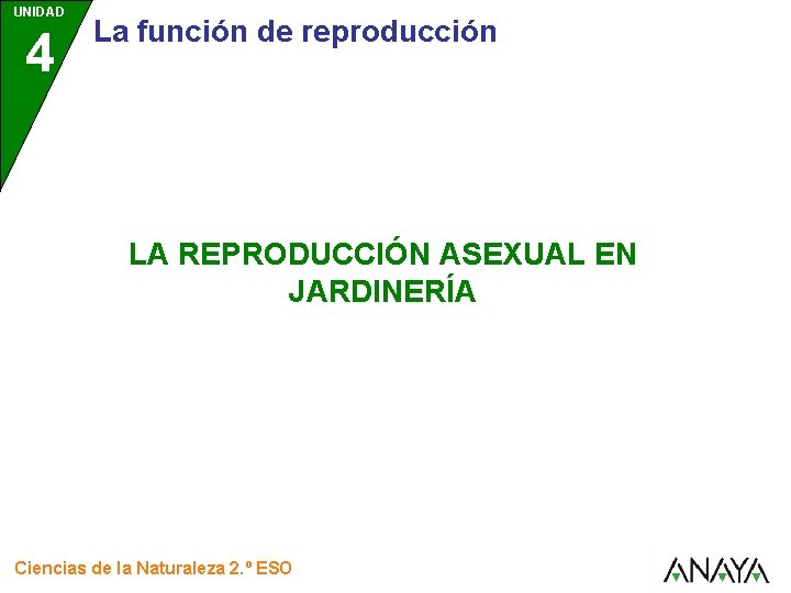 UNIDAD 4 La función de reproducción LA REPRODUCCIÓN ASEXUAL EN JARDINERÍA Ciencias de la