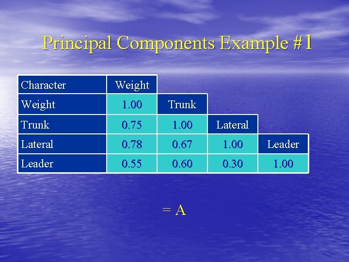 Principal Components Example #1 Character Weight 1. 00 Trunk 0. 75 1. 00 Lateral