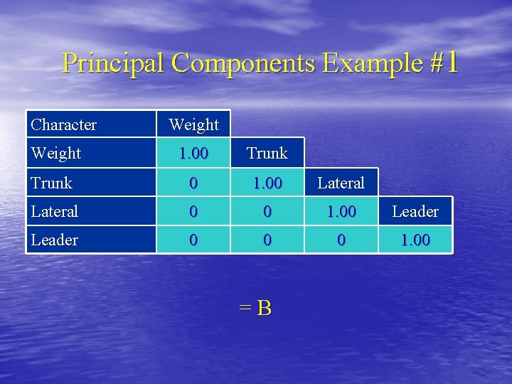 Principal Components Example #1 Character Weight 1. 00 Trunk 0 1. 00 Lateral 0