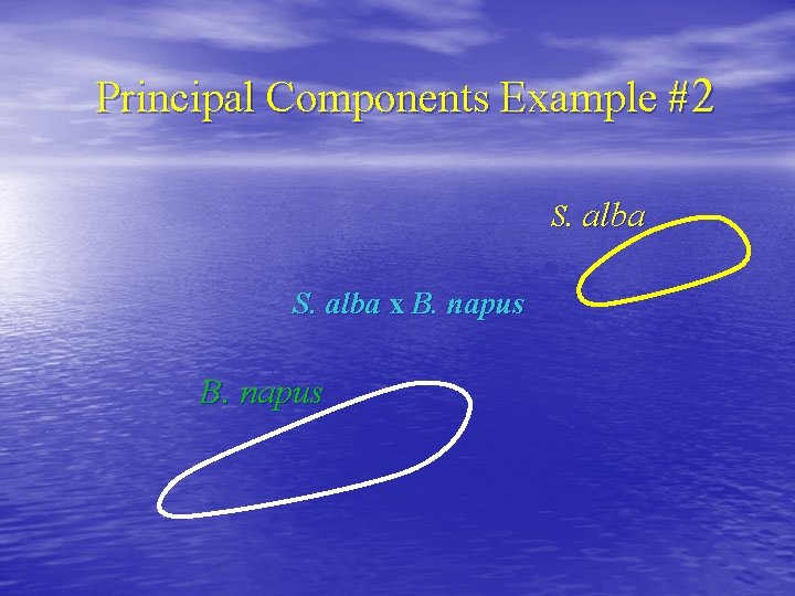 Principal Components Example #2 S. alba x B. napus 