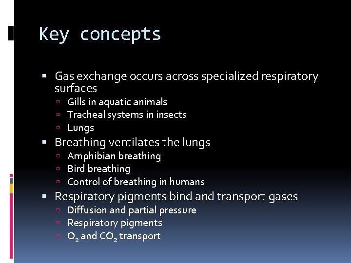 Key concepts Gas exchange occurs across specialized respiratory surfaces Gills in aquatic animals Tracheal