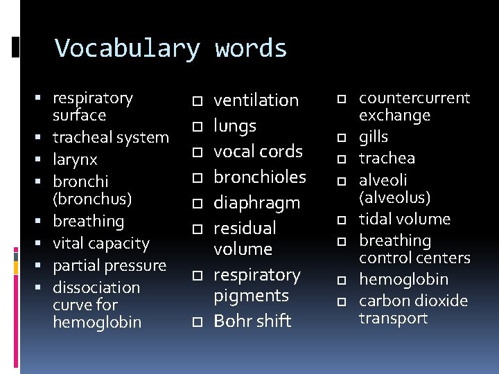 Vocabulary words respiratory surface tracheal system larynx bronchi (bronchus) breathing vital capacity partial pressure