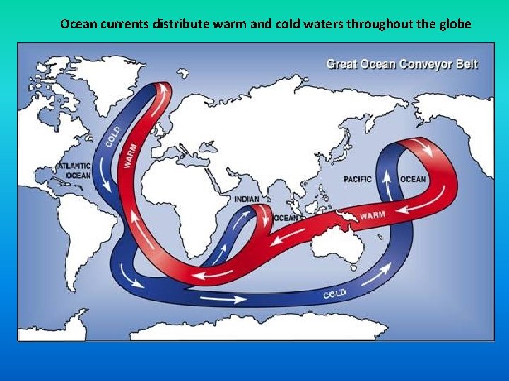 Ocean currents distribute warm and cold waters throughout the globe 