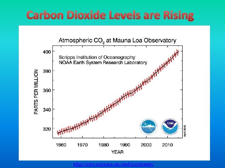 Carbon Dioxide Levels are Rising http: //www. esrl. noaa. gov/gmd/ccgg/trends/ 